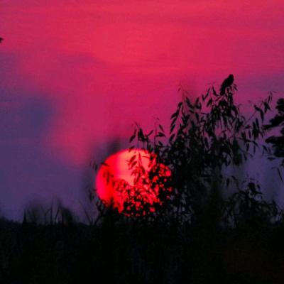 埃克斯幻想果盘版下载